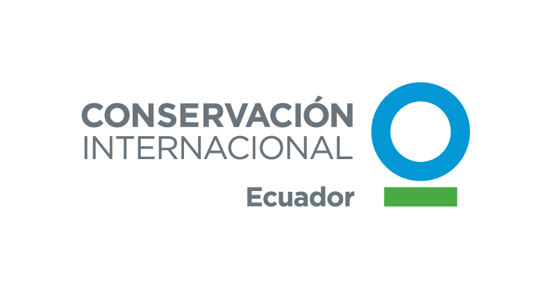 Organización aliada 1