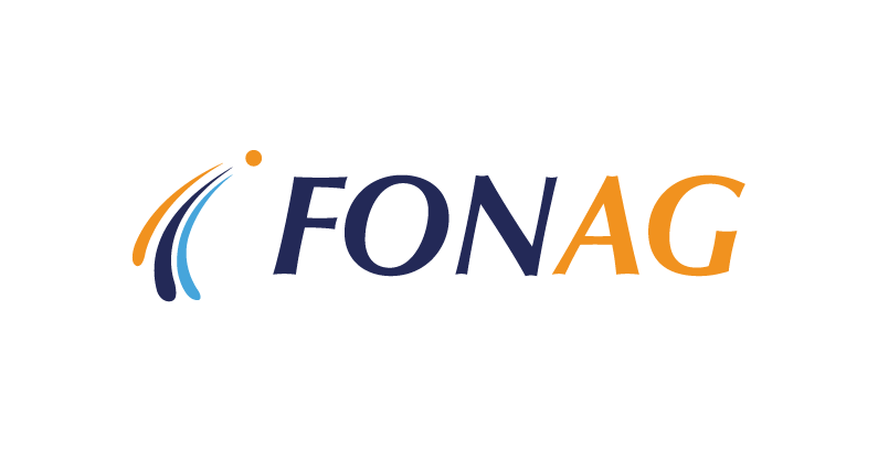 Organización aliada 3