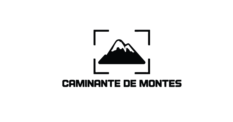 Organización aliada 13