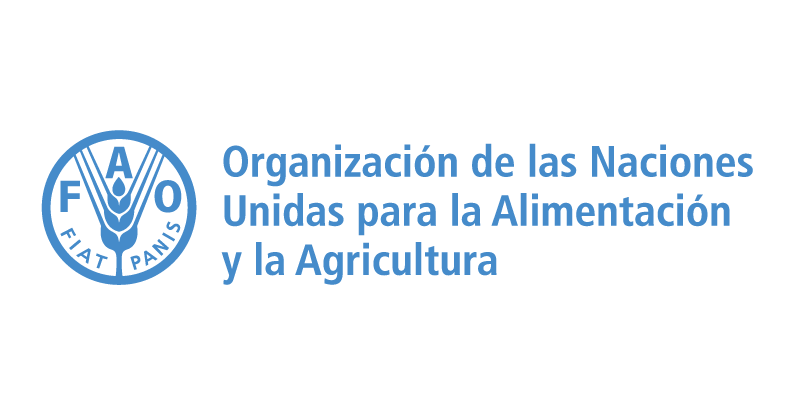 Organización aliada 14