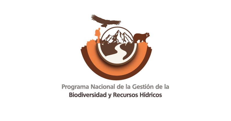 Organización aliada 19