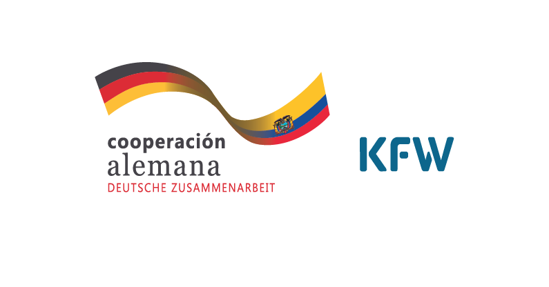 Organización aliada 20