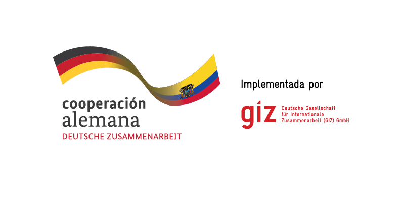 Organización aliada 21