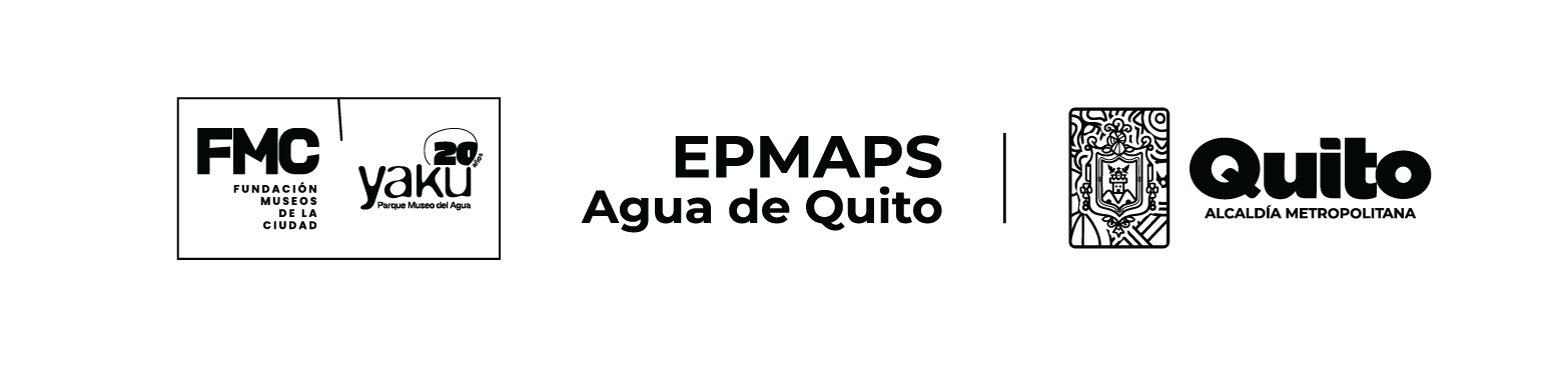 Organización aliada 30
